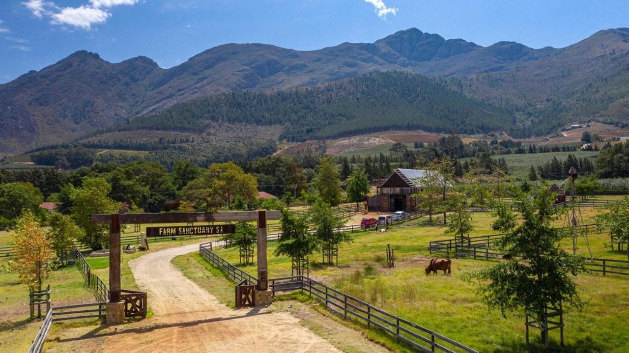 Inspiring Farm Sanctuary And Famous Painting Pig Ξενοδοχείο Franschhoek Εξωτερικό φωτογραφία