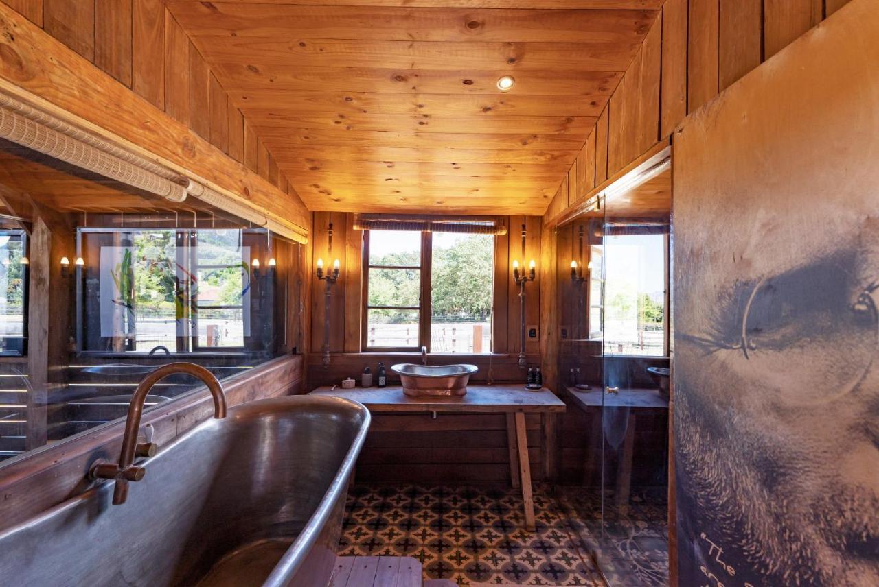 Inspiring Farm Sanctuary And Famous Painting Pig Ξενοδοχείο Franschhoek Εξωτερικό φωτογραφία